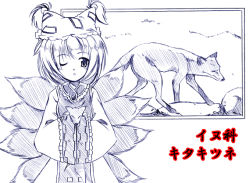 Rule 34 | 1girl, ;o, animal, animal hat, brooch, female focus, fox, fox tail, hands in opposite sleeves, hat, holding, holding animal, jewelry, kiku hitomoji, long sleeves, looking at viewer, monochrome, multiple tails, one eye closed, parted lips, mob cap, short hair, sleeves past wrists, solo, tabard, tail, touhou, wide sleeves, yakumo ran