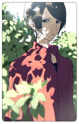 Rule 34 | 1boy, absurdres, blue eyes, blue hair, border, bush, buttons, collared shirt, dappled sunlight, dark blue hair, eyelashes, highres, kitagawa yuusuke, leaf, looking to the side, male focus, parted lips, persona, persona 5, red shirt, shirt, short hair, shukitashuki, solo, sunlight, swept bangs, upper body, white border
