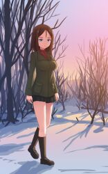 Rule 34 | 1girl, aposine, bare tree, black footwear, black skirt, black socks, blue eyes, branch, breasts, brown hair, buttons, closed mouth, commentary, english commentary, expressionless, full body, girls und panzer, green jacket, highres, jacket, large breasts, loafers, looking at viewer, medium hair, miniskirt, nonna (girls und panzer), outdoors, parted bangs, pleated skirt, pocket, red shirt, shadow, shirt, shoes, skirt, snow, socks, tree, twilight, walking, winter