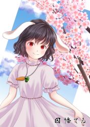 Rule 34 | 1girl, animal ears, black hair, blue sky, blush, carrot necklace, character name, cherry blossoms, closed mouth, cloud, commentary request, cowboy shot, dress, flat chest, floppy ears, frilled sleeves, frills, highres, inaba tewi, jewelry, kyabekko, looking at viewer, necklace, pendant, pink dress, puffy short sleeves, puffy sleeves, rabbit ears, red eyes, short hair, short sleeves, sky, smile, solo, touhou, wavy hair