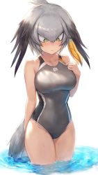 Rule 34 | 1girl, adapted costume, bare arms, bare legs, bare shoulders, bird tail, bird wings, blonde hair, blush, collarbone, competition swimsuit, cowboy shot, green eyes, grey hair, grey one-piece swimsuit, guchico, hair tie, head wings, japari symbol, kemono friends, multicolored hair, one-piece swimsuit, shoebill (kemono friends), short hair, solo, swimsuit, tail, wading, water, wings