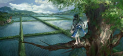 Rule 34 | 1girl, absurdres, bad id, bad pixiv id, black hair, blue sky, cloud, cloudy sky, day, facing away, from behind, grey kimono, highres, in tree, japanese clothes, kimono, long hair, long sleeves, low twintails, original, outdoors, rice paddy, scenery, shichigatsu, sky, solo, standing, tree, twintails