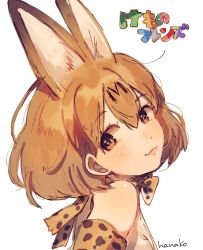 Rule 34 | 1girl, animal ears, bare shoulders, blush, bow, bowtie, brown eyes, brown hair, close-up, copyright name, extra ears, gloves, hair between eyes, hanako151, kemono friends, looking at viewer, portrait, serval (kemono friends), serval print, shirt, short hair, signature, smile, solo, traditional bowtie, white background