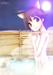 Rule 34 | 1girl, animal ears, brown eyes, covering privates, female focus, full moon, highres, miyafuji yoshika, moon, naked towel, nude, nude cover, nuko-d, onsen, outdoors, short hair, sky, solo, steam, strike witches, towel, world witches series