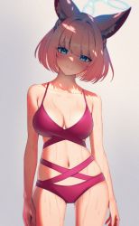 Rule 34 | 1girl, absurdres, animal ear fluff, animal ears, bikini, blue archive, blue eyes, blush, breasts, cleavage, cowboy shot, fox ears, halo, highres, kazane-wind, looking at viewer, medium breasts, navel, niko (blue archive), pink hair, shade, short hair, simple background, smile, solo, swimsuit, thighs, wet