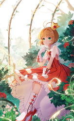 Rule 34 | 1girl, absurdres, antenna hair, boots, brown hair, cardcaptor sakura, clock, commentary request, crown, dress, duximeng, flower, frilled dress, frills, gloves, green eyes, hand on lap, hand up, heart, highres, kinomoto sakura, mini crown, pink flower, red dress, red flower, red rose, rose, see-through, short hair, short sleeves, sitting, solo, striped clothes, striped dress, vertical-striped clothes, vertical-striped dress, white footwear, white gloves