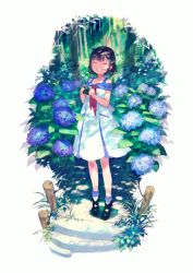 Rule 34 | 1girl, ^ ^, bare shoulders, black footwear, black hair, blue flower, camera, closed eyes, commentary request, day, dress, facing viewer, flower, forest, grin, hands up, holding, holding camera, hydrangea, long hair, maeya susumu, nature, neckerchief, off-shoulder dress, off shoulder, original, outdoors, red neckerchief, shoes, smile, socks, solo, stairs, standing, stone stairs, tree, white background, white dress, white socks