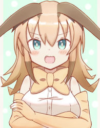 Rule 34 | 1girl, animal ears, bare shoulders, blush, bow, bowtie, breasts, brown bow, brown bowtie, brown gloves, brown hair, caracal (kemono friends), commentary request, crossed arms, elbow gloves, fang, gloves, green background, green eyes, hair between eyes, highres, kemono friends, long hair, looking at viewer, medium breasts, multicolored hair, open mouth, shirt, sleeveless, sleeveless shirt, solo, sunanuko (ramuneko), traditional bowtie, two-tone hair, upper body, wavy mouth, white shirt