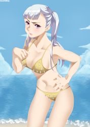 Rule 34 | 1girl, bikini, black clover, blush, breasts, brown bikini, cleavage, collarbone, commentary, english commentary, facu10mag, hand on own hip, highres, large breasts, light blush, long hair, looking at viewer, navel, noelle silva, ocean, purple eyes, silver hair, solo, swimsuit, twintails