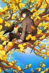 Rule 34 | 1girl, animal, bandages, belt, bird, bird on knee, black feathers, black hair, black pants, blue sky, bob cut, branch, brown jacket, camellia, crow, dongbaek (project moon), feathers, flaw eight, flower, highres, in tree, jacket, leaf, limbus company, pants, project moon, red flower, sitting, sitting in tree, sky, solo, sunlight, tree, yellow eyes, yellow flower