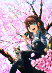 Rule 34 | 1girl, animal collar, blue eyes, brown hair, camera, cat, cherry blossoms, collar, day, in tree, open mouth, original, overalls, sitting, solo, tree, twintails, unowen