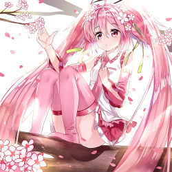 Rule 34 | 1girl, ahoge, cherry blossoms, detached sleeves, gendo0032, gendo0033, hand on own chest, hatsune miku, in tree, long hair, necktie, pink eyes, pink hair, pink thighhighs, sakura miku, sitting, sitting in tree, skirt, solo, thighhighs, tree, twintails, very long hair, vocaloid, white background