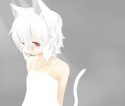 Rule 34 | 1girl, animal ears, blush, camisole, cat ears, cat tail, face, highres, looking down, majima yuki, original, red eyes, simple background, smile, solo, tail, white hair