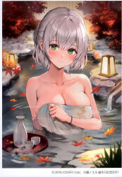 Rule 34 | 1girl, absurdres, autumn leaves, bare shoulders, blush, bottle, bracelet, breasts, closed mouth, collarbone, floating, green eyes, grey hair, head tilt, highres, holding, hololive, jewelry, large breasts, light smile, looking at viewer, onsen, partially submerged, sake bottle, scan, shirogane noel, short hair, simple background, tokkuri, towel, tray, virtual youtuber, watao, water, water drop, wet