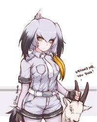 Rule 34 | 10s, 1girl, belt, black gloves, black hair, blush, bodystocking, breasts, commentary, disco brando, english text, fingerless gloves, gloves, goat, grey hair, grey shirt, grey shorts, head wings, highres, kemono friends, looking at viewer, low ponytail, multicolored hair, necktie, pantyhose, shirt, shoebill (kemono friends), short sleeves, shorts, side ponytail, simple background, white background, white necktie, wings