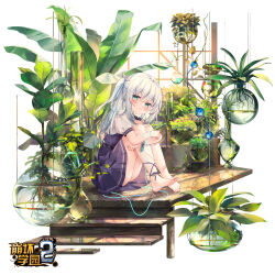 Rule 34 | 1girl, aqua eyes, barefoot, benghuai xueyuan, character request, chen bin, highres, holding legs, honkai (series), logo, long hair, looking at viewer, plant, potted plant, side ponytail, sitting, skirt, smile, solo, white hair