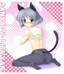 Rule 34 | 00s, 1girl, amane (funfun), animal ears, ass, black pantyhose, blush, breasts, cameltoe, crotch seam, feet, flat chest, funfun, green eyes, kneeling, looking back, panties, panties under pantyhose, pantyhose, sanya v. litvyak, short hair, sideboob, silver hair, sitting, small breasts, solo, strike witches, tail, underwear, undressing, world witches series