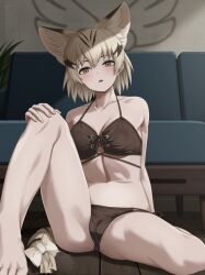 Rule 34 | 1girl, animal ear fluff, animal ears, arm behind back, barefoot, bikini, blonde hair, blush, bow, breasts, brown bikini, cameltoe, cat ears, cat girl, cat tail, collarbone, commentary request, deku suke, extra ears, fang, front-tie bikini top, front-tie top, hair between eyes, hand on own knee, highres, indoors, kemono friends, knee up, looking at viewer, medium breasts, medium hair, multicolored hair, navel, on floor, parted lips, sand cat (kemono friends), side-tie bikini bottom, sitting, solo, spread legs, stomach, swimsuit, tail, tail bow, tail ornament, toes, yellow eyes