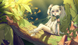 1girl :d absurdres aranara_(genshin_impact) arm_up bare_shoulders bracelet child commentary cross-shaped_pupils detached_sleeves dress full_body genshin_impact gold_trim gradient_hair green_eyes green_hair green_sleeves hair_ornament highres jewelry long_hair looking_ahead moss multicolored_hair mushroom nahida_(genshin_impact) open_mouth outdoors plant pointy_ears short_sleeves side_ponytail sidelocks sitting sitting_on_branch smile solo sunlight symbol-only_commentary symbol-shaped_pupils teeth tem toeless_footwear upper_teeth_only white_dress white_footwear white_hair