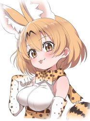 Rule 34 | 1girl, :3, animal ears, bare shoulders, blonde hair, blouse, blush, bow, bowtie, commentary request, elbow gloves, extra ears, fang, gloves, high-waist skirt, kemono friends, paw pose, print bow, print bowtie, print gloves, print neckwear, print skirt, ransusan, serval (kemono friends), serval print, serval tail, shirt, short hair, skirt, sleeveless, solo, tail, traditional bowtie, upper body, white shirt, yellow eyes