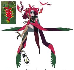 Rule 34 | 1girl, bbizim03, bird, bird-of-paradise, bird of paradise flower, burning, commentary, earrings, english commentary, feathers, fire, flower, holding with feet, green eyes, green feathers, hair ornament, harpy, heterochromia, highres, jewelry, lantern, monster girl, mouth hold, original, personification, photo inset, red eyes, red feathers, red hair, reference inset, simple background, solo, talons, twig, white background, winged arms, wings