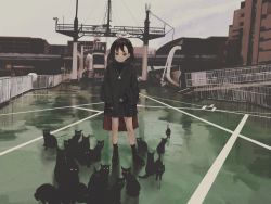 Rule 34 | 1girl, black footwear, black hair, black socks, black sweater, building, cat, city, closed mouth, commentary, daruma karei, full body, grey sky, halo, highres, jewelry, long sleeves, looking at viewer, necklace, original, outdoors, railing, red eyes, short hair, sky, sleeves past wrists, socks, solo, standing, sweater, too many, too many cats