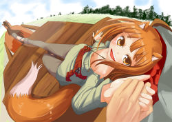 Rule 34 | 1girl, animal ears, apple, blurry, carriage, cart, charm, cloud, depth of field, downblouse, fang, fisheye, food, fruit, grass, holding hands, happy, holo, horse, looking at viewer, murasaki orange, nature, outdoors, pouch, pov, sky, smile, solo, solo focus, spice and wolf, tail, tree, wolf ears, wolf tail