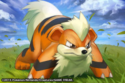 Rule 34 | 2015, animal focus, blue sky, brown eyes, claws, cloud, cloudy sky, commentary, creature, creatures (company), day, dog, english commentary, full body, game freak, gen 1 pokemon, grass, growlithe, leaf, match (idleslumber), nintendo, no humans, official art, outdoors, pokemon, pokemon (creature), pokemon tcg, shadow, sky, solo, standing, watermark, wind