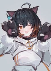 Rule 34 | 1girl, ;d, absurdres, ahoge, animal ears, animal hands, antenna hair, black hair, cat ears, cat paws, character request, colored tips, fang, feathers, fur-trimmed sleeves, fur trim, highres, irikawa, jacket, long sleeves, looking at viewer, medium hair, multicolored hair, one eye closed, open mouth, orange eyes, orange hair, simple background, smile, solo, white jacket
