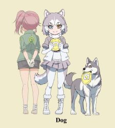 Rule 34 | 2girls, animal ears, beige background, black shorts, blue eyes, bob cut, boots, character name, commentary request, cross-laced footwear, dog, dog (shiba inu) (kemono friends), dog ears, dog tail, elbow gloves, english text, facing away, frisbee, fur-trimmed boots, fur trim, gloves, green jacket, grey footwear, grey jacket, grey legwear, grey skirt, heterochromia, highres, holding, husky, jacket, japari symbol, kemono friends, kemono friends 2, lace-up boots, medium hair, miniskirt, multiple girls, name connection, nana (kemono friends), open clothes, open jacket, own hands together, pantyhose, pink hair, pleated skirt, print jacket, scarf, shoes, short hair, short sleeves, shorts, side ponytail, sidelocks, simple background, skirt, socks, straight-laced footwear, tail, white footwear, white gloves, white legwear, white scarf, yamaguchi yoshimi, yellow background, yellow eyes
