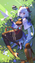 Rule 34 | 1girl, absurdres, ahoge, ass, bare shoulders, bell, bird, blue gloves, blue hair, blurry, blush, breasts, brown pantyhose, chinese knot, depth of field, detached sleeves, flower, flower knot, full body, ganyu (genshin impact), genshin impact, gloves, gold trim, grass, high heels, highres, holding, holding flower, horns, lijiahao5103, long hair, looking at viewer, lying, medium breasts, neck bell, on side, outdoors, pantyhose, pigeon, purple eyes, sidelocks, smile, tassel, thighlet, tree shade, vision (genshin impact), waist cape, white flower, white sleeves
