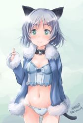 Rule 34 | 1girl, animal ears, artist name, bad id, bad twitter id, blue coat, blue panties, blue shirt, bow, bow panties, breasts, camisole, cat ears, cat tail, closed mouth, coat, cowboy shot, crop top, detached collar, gluteal fold, green eyes, haruhata mutsuki, kemonomimi mode, light smile, long sleeves, looking at viewer, midriff, no pants, open clothes, open coat, panties, sanya v. litvyak, shirt, short hair, signature, silver hair, small breasts, solo, standing, strike witches, tail, thigh gap, twitter username, underwear, world witches series