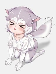 Rule 34 | &gt; &lt;, 1girl, :3, :q, animal ear fluff, animal ears, collarbone, dog (mixed breed) (kemono friends), dog ears, dog tail, elbow gloves, full body, gloves, gradient background, grey background, grey hair, grey pantyhose, kemono friends, motion lines, multicolored hair, no shoes, nyifu, pantyhose, shirt, short hair, short sleeves, simple background, sitting, solo, tail, tail wagging, tongue, tongue out, two-tone hair, two-tone legwear, white gloves, white hair, white pantyhose, white shirt, x3