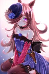 Rule 34 | 1girl, animal ears, back bow, backlighting, bare shoulders, black hair, black thighhighs, blue dress, blue flower, blue hat, blue rose, blush, bow, closed mouth, dagger, dress, flower, fur collar, hair over one eye, hat, hat flower, highres, horse ears, horse girl, horse tail, knife, lace, lace-trimmed thighhighs, large bow, leon no neko, light particles, long bangs, long hair, long sleeves, off-shoulder dress, off shoulder, purple eyes, rice shower (umamusume), rose, scabbard, sheath, sheathed, short dress, sitting, smile, solo, tail, thighhighs, tilted headwear, umamusume, v arms, wariza, weapon