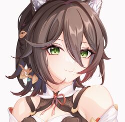 Rule 34 | 1girl, animal ear fluff, animal ears, bare shoulders, blackheart`, blush, breasts, brown hair, cat ears, chinese commentary, cleavage, closed mouth, commentary, commentary request, earrings, fox ears, fox girl, green eyes, hair between eyes, highres, honkai: star rail, honkai (series), jewelry, looking at viewer, medium breasts, multicolored hair, ponytail, portrait, simple background, smile, solo, tingyun (honkai: star rail), upper body, white background