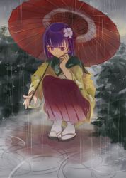 Rule 34 | 1girl, bob cut, bush, commentary request, floral print, flower, hair flower, hair ornament, tucking hair, hand on own face, hand up, hieda no akyuu, highres, holding, holding umbrella, index finger raised, japanese clothes, kimono, long sleeves, looking at viewer, ohanami n, oil-paper umbrella, outdoors, pleated skirt, purple eyes, purple hair, rain, red skirt, ripples, sandals, short hair, short kimono, skirt, smile, socks, solo, squatting, tabi, touhou, umbrella, white socks, yellow kimono, zouri