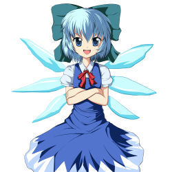 Rule 34 | 1girl, blue eyes, blue hair, circled 9, cirno, crossed arms, female focus, matching hair/eyes, ribbon, rouzille, short hair, simple background, solo, touhou, white background, wings