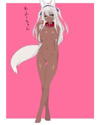 Rule 34 | 1girl, animal ear fluff, animal ears, barefoot, blue eyes, blue ribbon, breasts, breasts apart, closed mouth, collar, crossed legs, dark-skinned female, dark skin, fox ears, fox girl, fox tail, green eyes, groin, hair between eyes, hair ribbon, hand up, head tilt, heterochromia, highres, kiyomin, large breasts, long hair, looking at viewer, no nipples, no pussy, nude, original, pink background, red collar, ribbon, silver hair, smile, solo, standing, tail, translation request, two-tone background, two side up, very long hair, watson cross, white background