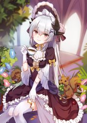 Rule 34 | 1girl, alternate costume, blurry, blush, bonnet, cup, depth of field, dress, fate/grand order, fate (series), frills, gloves, gothic lolita, horns, kiyohime (fate), kiyohime (third ascension) (fate), lolita fashion, long hair, looking at viewer, open mouth, red eyes, silver hair, smile, smile (mm-l), solo, squirrel, teacup, thighhighs, white gloves, white thighhighs