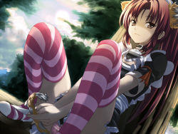 Rule 34 | 1girl, against tree, alric, animal ears, apron, between legs, brown eyes, brown hair, cat ears, cat tail, collar, maid, maid apron, original, panties, pink thighhighs, sitting, solo, striped clothes, striped panties, striped thighhighs, tail, tail between legs, thighhighs, tree, underwear