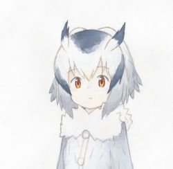 Rule 34 | 10s, 1girl, black hair, blonde hair, coat, fur collar, grey background, grey coat, head wings, highres, kemono friends, long sleeves, looking at viewer, multicolored hair, northern white-faced owl (kemono friends), simple background, solo, uepon (shimo ponzu), upper body, white hair, wings, yellow eyes