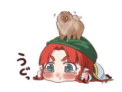 Rule 34 | 1girl, aged down, animal, blue eyes, braid, chinese clothes, dog, hat, hong meiling, long hair, neko majin, on head, pants, red hair, simple background, snot, standing on person, tangzhuang, tearing up, touhou, translation request, twin braids, white background