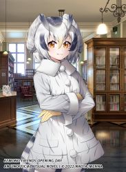 Rule 34 | 1girl, alt text, bird girl, bird tail, bird wings, black hair, blonde hair, book, bookshelf, closed mouth, coat, collared coat, commentary, copyright notice, cowboy shot, crossed arms, english commentary, gloves, hair between eyes, head wings, indoors, kemono friends, kemono friends opening day, library, long sleeves, looking at viewer, medium hair, menna (0012), multicolored hair, northern white-faced owl (kemono friends), orange eyes, owl ears, pantyhose, pom pom (clothes), reflective floor, second-party source, smile, solo, tail, white hair, white pantyhose, wings, yellow gloves