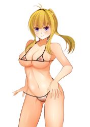 Rule 34 | 1girl, ahoge, bikini, blonde hair, blush, breasts, clarine, female focus, fire emblem, fire emblem: the binding blade, highres, large breasts, long hair, looking at viewer, micro bikini, navel, nintendo, nipples, ponytail, purple eyes, see-through, shiny skin, sidelocks, simple background, smile, solo, standing, swimsuit, thighs, undressing, white background