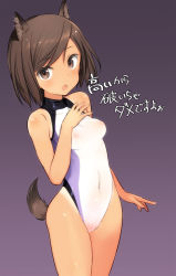 Rule 34 | 1girl, animal ears, body blush, breasts, brown eyes, brown hair, covered erect nipples, covered navel, cowboy shot, gradient background, hand on own chest, kuroda kunika, looking at viewer, medium breasts, nipples, noble witches, one-piece swimsuit, one-piece tan, open mouth, purple background, see-through, shimada fumikane, short hair, simple background, solo, swept bangs, swimsuit, tail, tan, tanline, world witches series