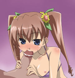 Rule 34 | 00s, 1girl, bare shoulders, bikini, blue eyes, blush, bra, bra pull, breasts, brown hair, censored, clothes pull, fellatio, flat chest, hair ornament, handjob, lingerie, long hair, nipples, nogizaka haruka no himitsu, nogizaka mika, oral, paopa ship, penis, pointless censoring, solo focus, striped bra, striped clothes, swimsuit, twintails, two-handed handjob, underwear