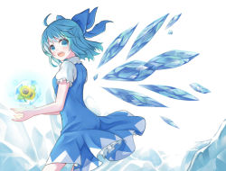 Rule 34 | 1girl, ahase hino, ahoge, arms up, blue dress, blue eyes, blue hair, bow, cirno, contrapposto, cowboy shot, dress, flower, from side, frozen flower, hair bow, head tilt, ice, ice wings, looking at viewer, looking back, open hands, open mouth, petticoat, pinafore dress, puffy short sleeves, puffy sleeves, shirt, short hair, short sleeves, simple background, sleeveless dress, solo, standing, sunflower, touhou, upper body, white background, white shirt, wind, wind lift, wings