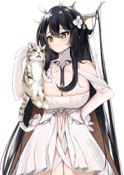 Rule 34 | 1girl, absurdres, antlers, azur lane, black hair, breasts, cat, catnnn, cleavage, closed mouth, detached collar, dress, elbow gloves, flower, gloves, green eyes, hair between eyes, hair flower, hair ornament, hand on own hip, highres, horns, huge breasts, indomitable (azur lane), large breasts, long hair, looking at another, simple background, strapless, strapless dress, tagme, very long hair, white background, white dress, white gloves