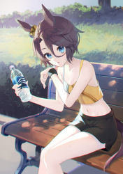 Rule 34 | 1girl, animal ears, bench, black shorts, blue eyes, bottle, breasts, brown hair, bush, cleavage, crop top, feet out of frame, grass, highres, holding, holding bottle, horse ears, horse girl, horse tail, konatsu hare, looking at viewer, midriff, narita taishin (umamusume), navel, open mouth, outdoors, parted bangs, short hair, shorts, sitting, small breasts, solo, sweat, sweatband, tail, tank top, tree, twitter username, umamusume, water bottle