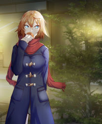 Rule 34 | 1girl, absurdres, alternate costume, arm behind back, blonde hair, blue eyes, covering own mouth, food request, hair between eyes, highres, light blush, looking at viewer, night, philia (sao), red scarf, scarf, segina04, solo, sword art online, winter, winter clothes